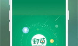 草免费视频,草免费视频，开启视觉盛宴之旅