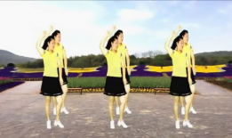 广场舞跳舞视频,活力四溢——广场舞视频精彩回顾