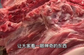 肉肉视频,揭秘美食背后的故事与魅力