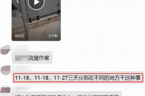 手淫视频网站,内容解析与行业现状