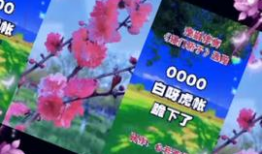 999热视频,揭秘热门话题背后的真相与观点