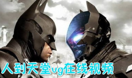 灰狼视频,探寻神秘生物的生存智慧与生态奥秘